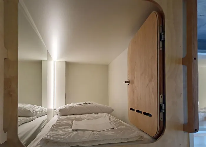 Five Elements And Capsules Frankfurt Albergue *